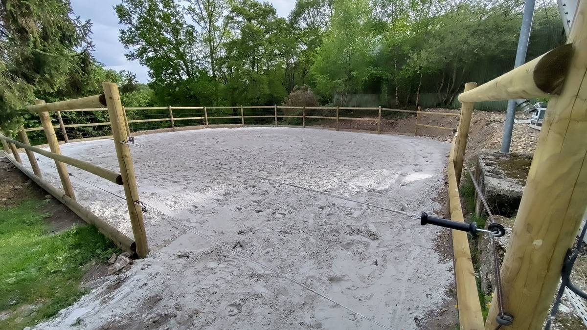 Le rond de longe des écuries du cerf