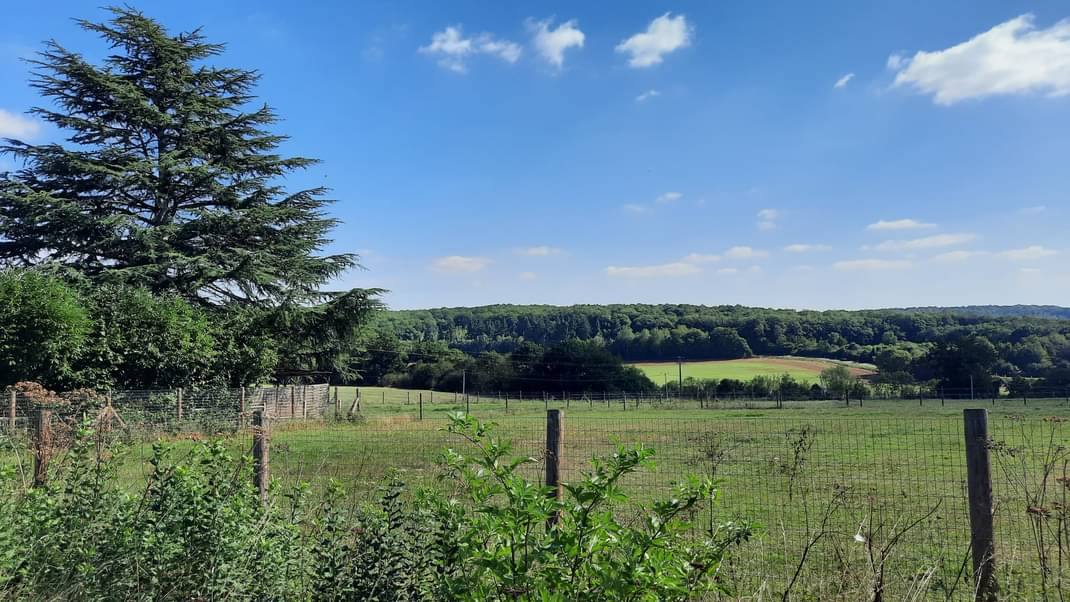 Les paddocks des écuries du cerf